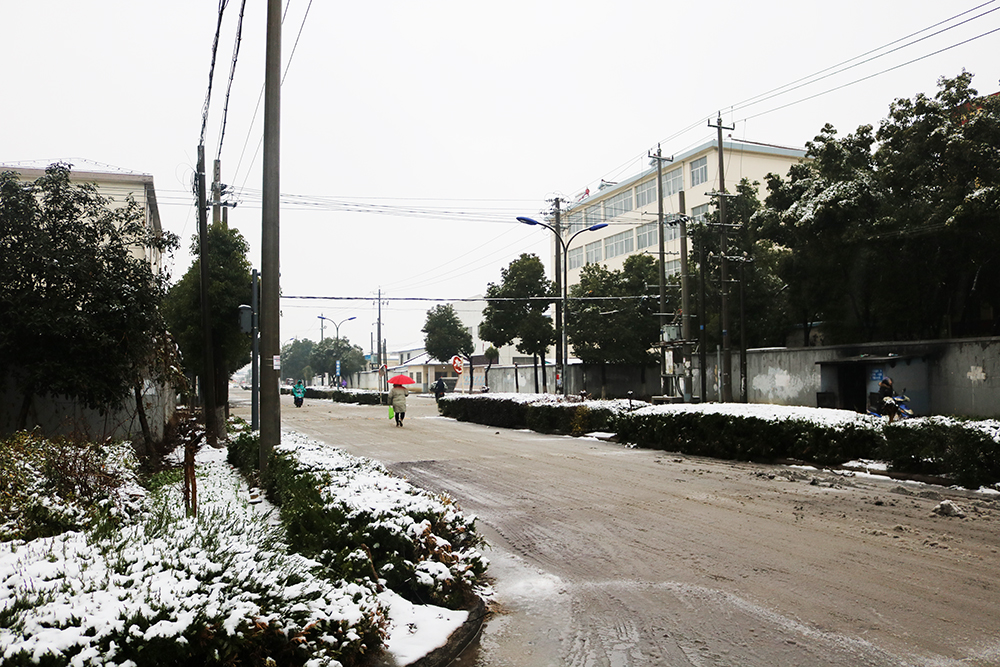 聽說(shuō)初雪的時(shí)候，炸雞啤酒和虎躍雪景更配哦！ (6)